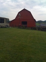 5733_226747425216_891250216_7599621_1483969_n